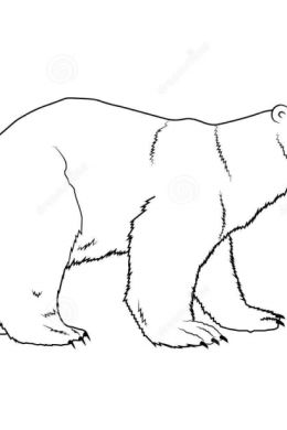 Трафарет медведя для рисования