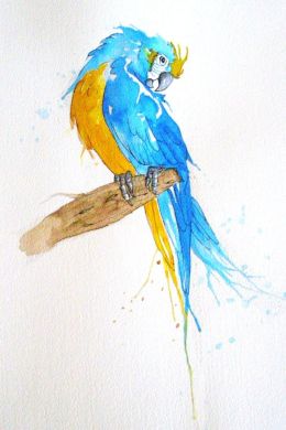 Рисунок карандашом для срисовки попугай