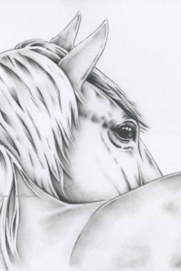 Рисунок лошади карандашом для срисовки легкие