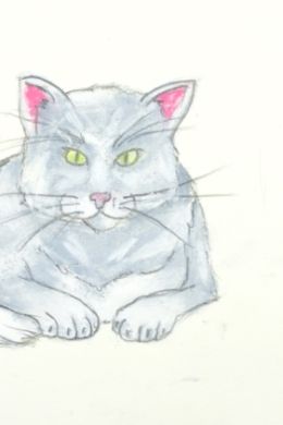 Рисунок карандашом кота легкий для срисовки