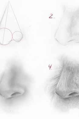 Рисунок нос человека карандашом