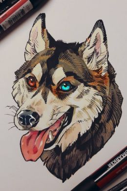 Рисунок карандашом пес