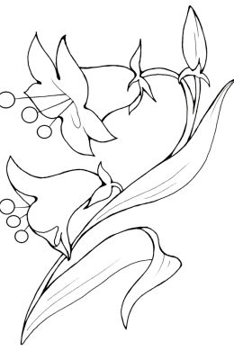 Колокольчик цветок рисунок для детей карандашом