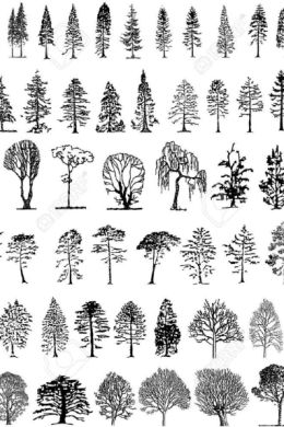 Зарисовка кустарников деревьев