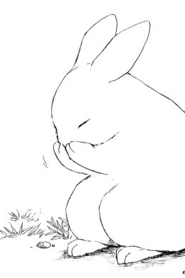 Рисунок заяц беляк карандашом