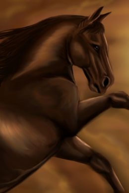Зарисовка лошади