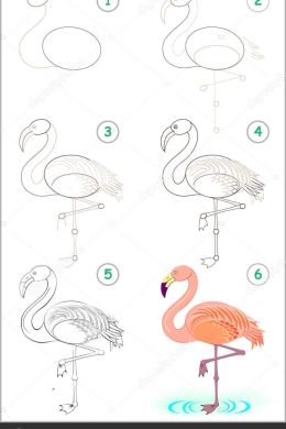 Поэтапно рисунок фламинго