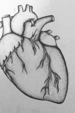 Сердце простой рисунок
