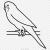 Рисунок волнистого попугая для детей
