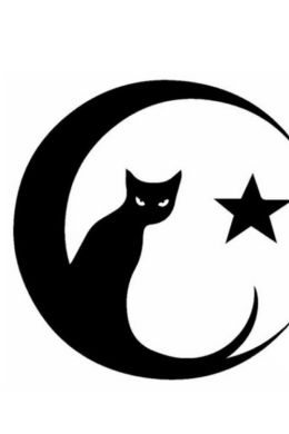 Трафарет кот и луна