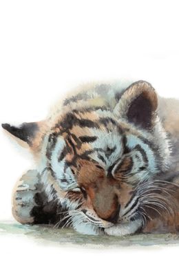 Рисунок тигр акварелью