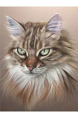 Портреты кошек живопись