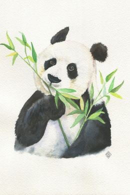 Панда гуашью