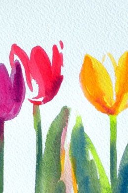 Рисунок тюльпаны акварелью