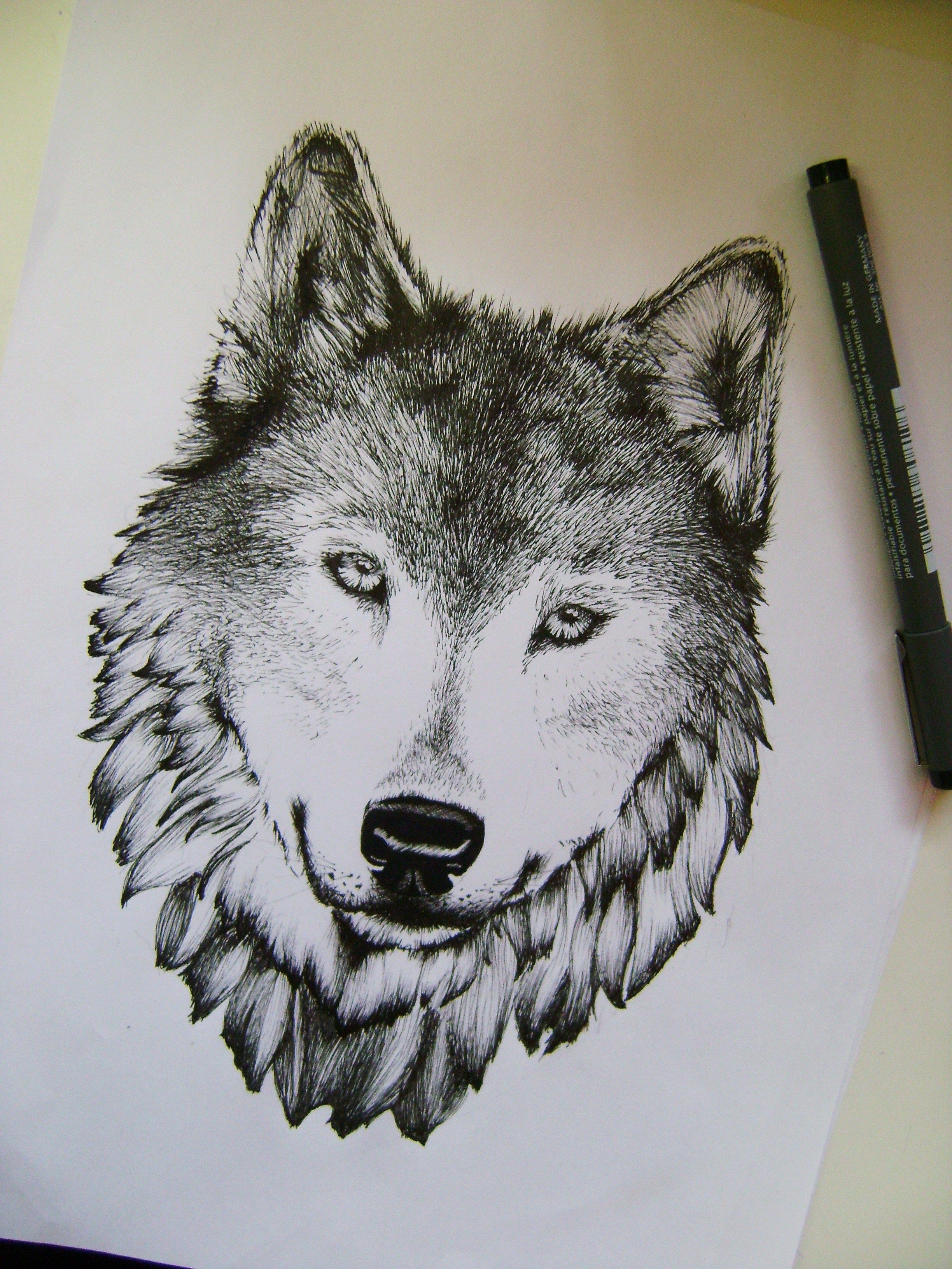 Нарисованный волк профессионалами