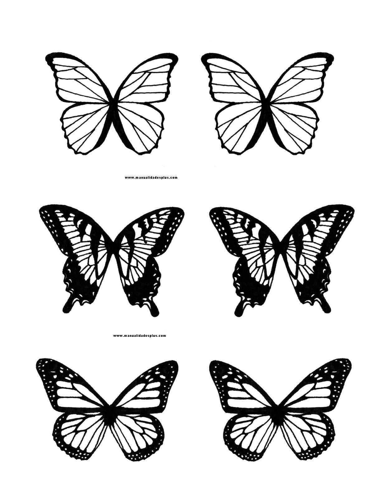 Шаблон бабочек для печати. Трафареты бабочки. Трафарет бабочки для вырезания. Бабочка шаблон для печати. Маленькие бабочки раскраска.