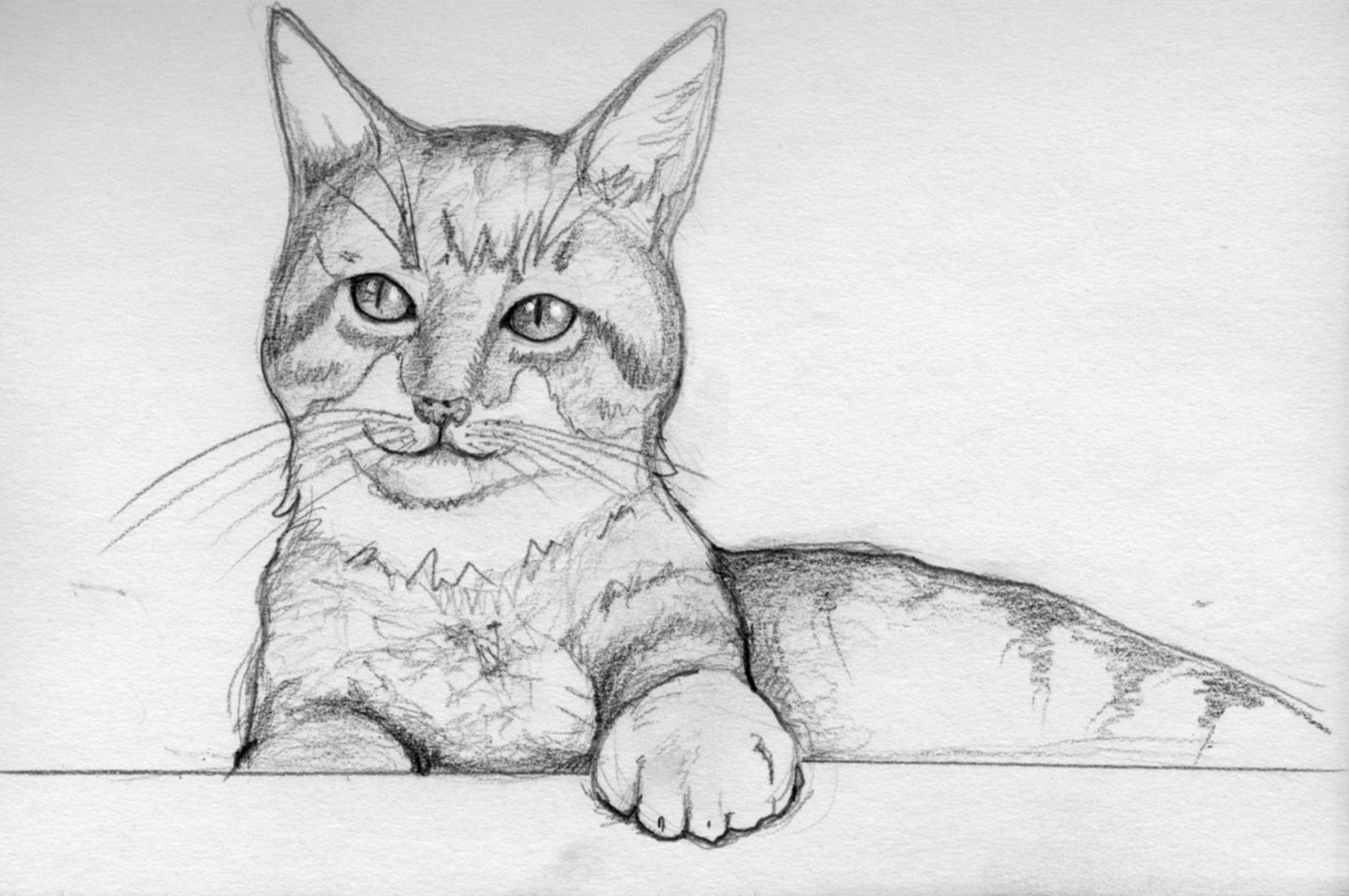 Азбука рисования кот