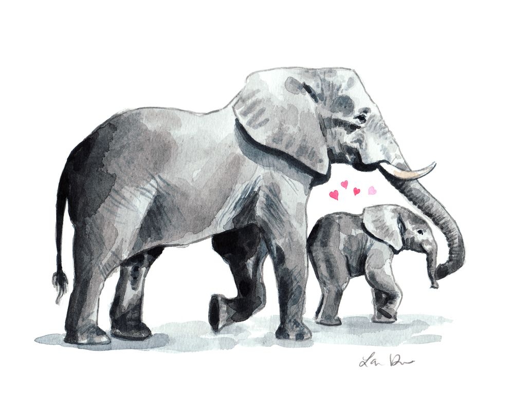 Слониха со слоненком рисунок