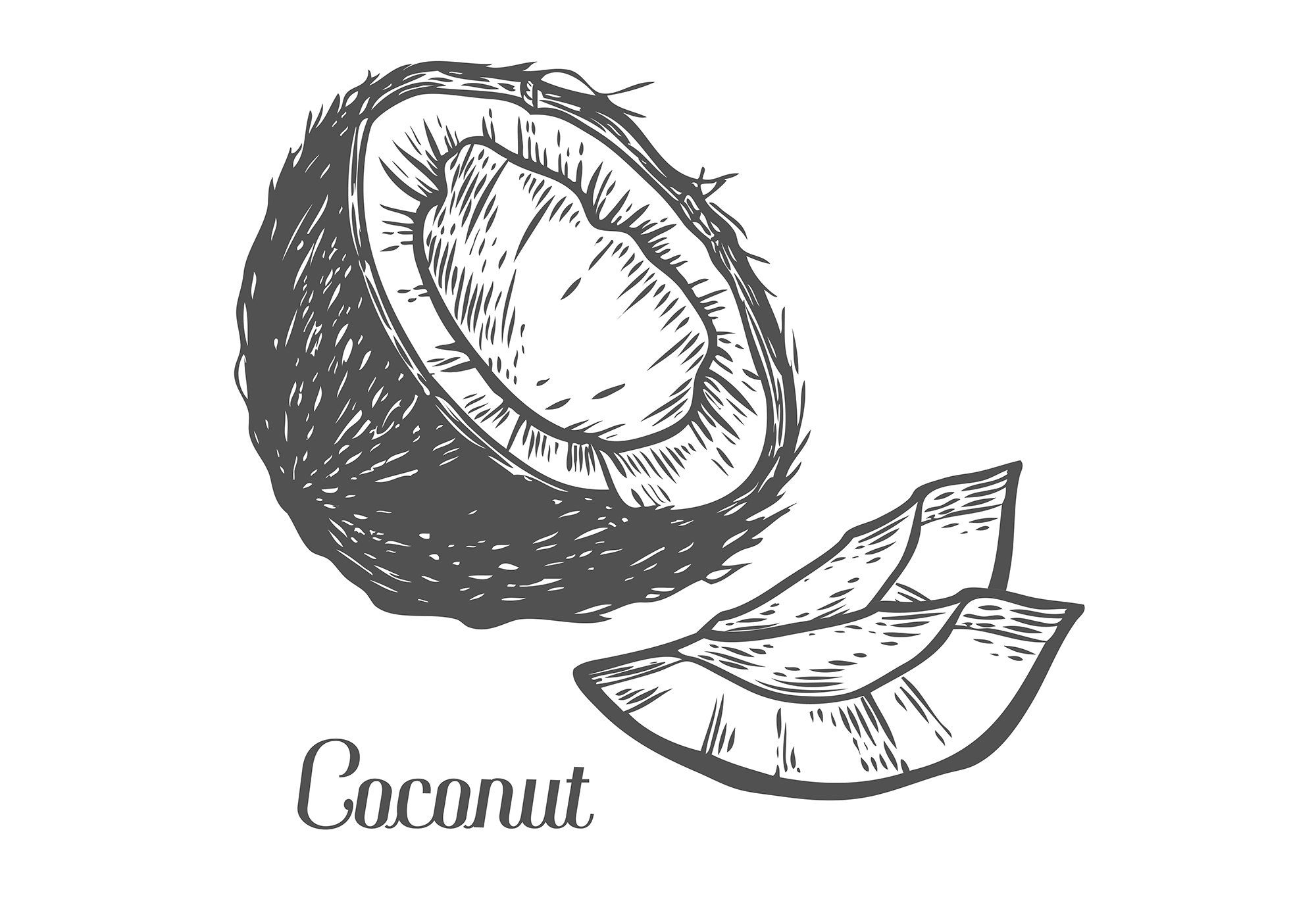 кокос, ананас, фрукты PNG рисунок, ананас кокос картинки пнг файлы - Pngtree