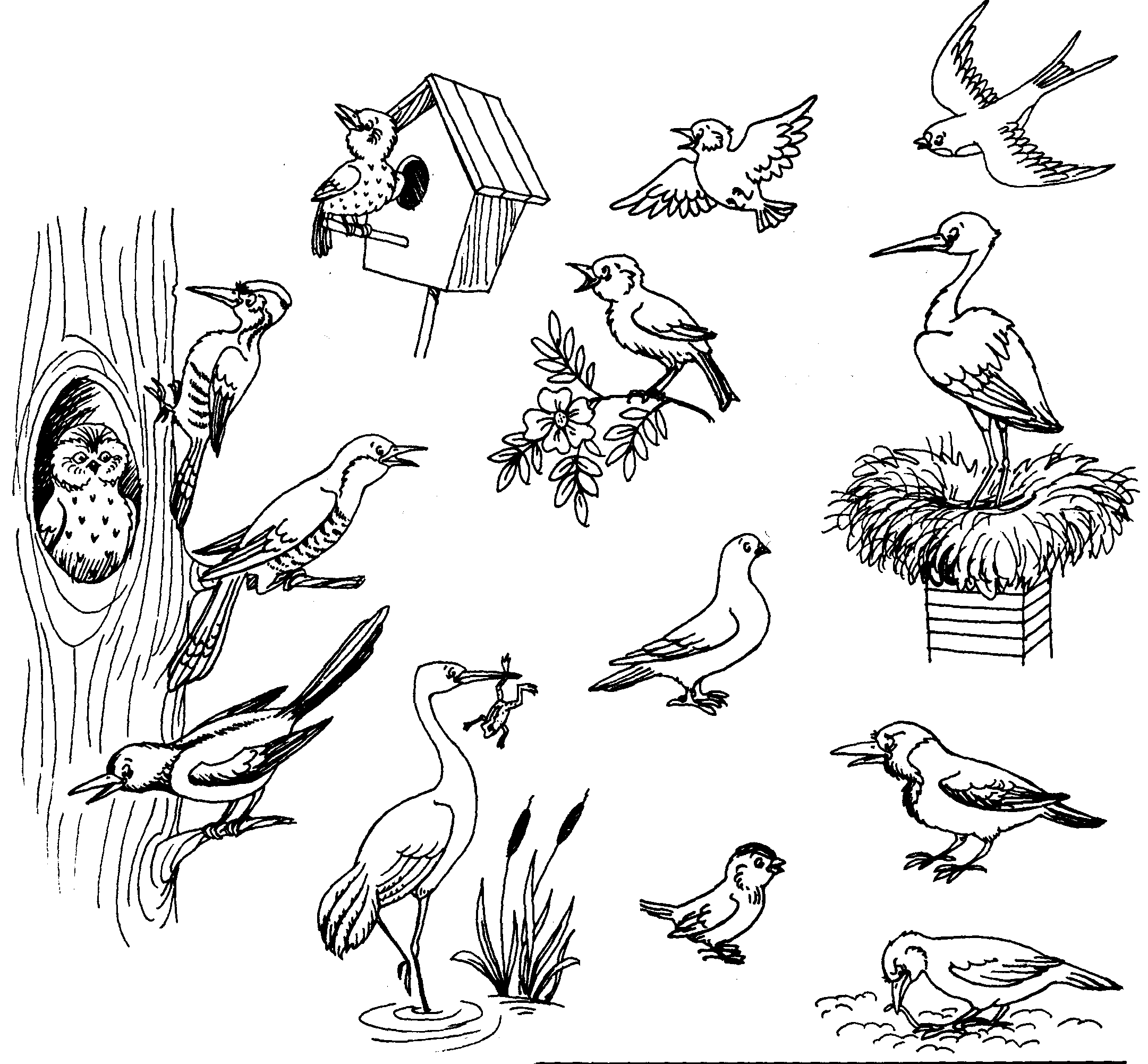 Тема перелетные и зимующие птицы