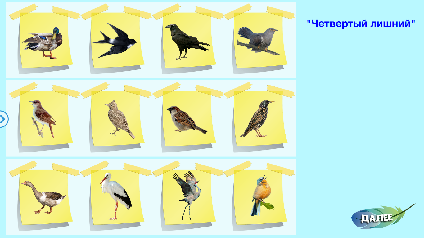 Планирование перелетные птицы весной. Поделка перелетные птицы. Перелетные птицы Тульской области. Игры на липучках перелетные птицы. Перелётные птицы картинки для детей дошкольного возраста.