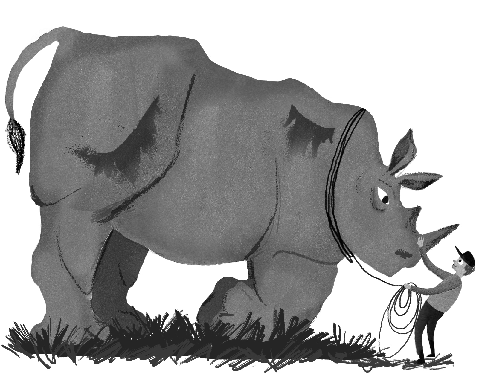 Смешной носорог рисунок