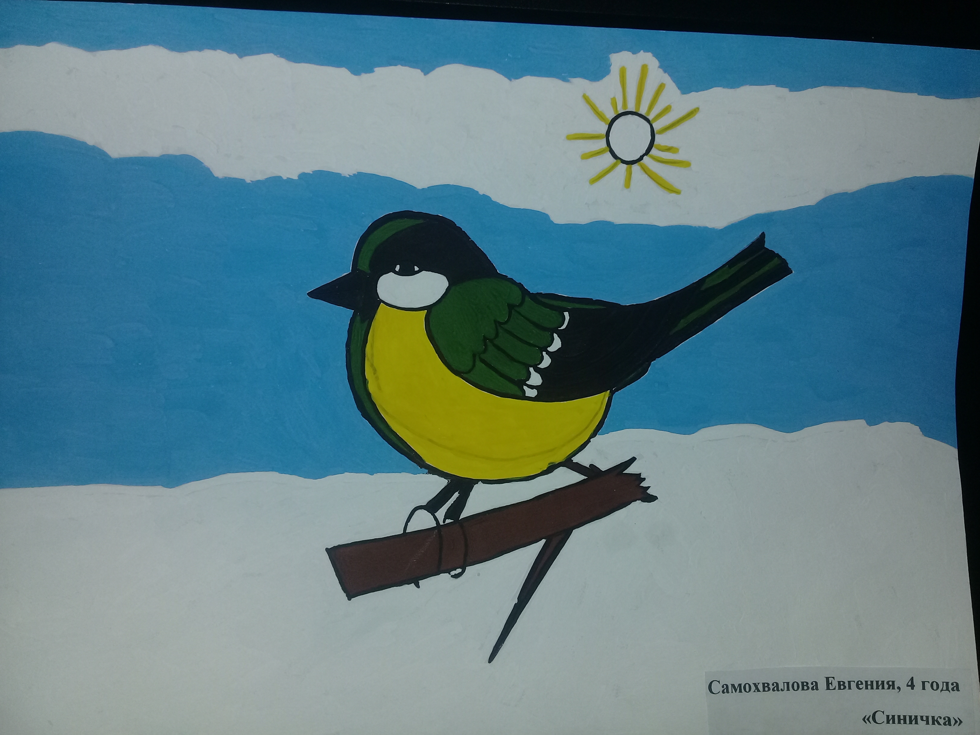 Зимующие птицы Ульяновской области рисунок