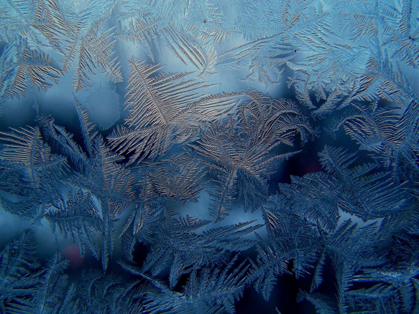 На стекле мороз рисует инеем пальмы горы реки и моря