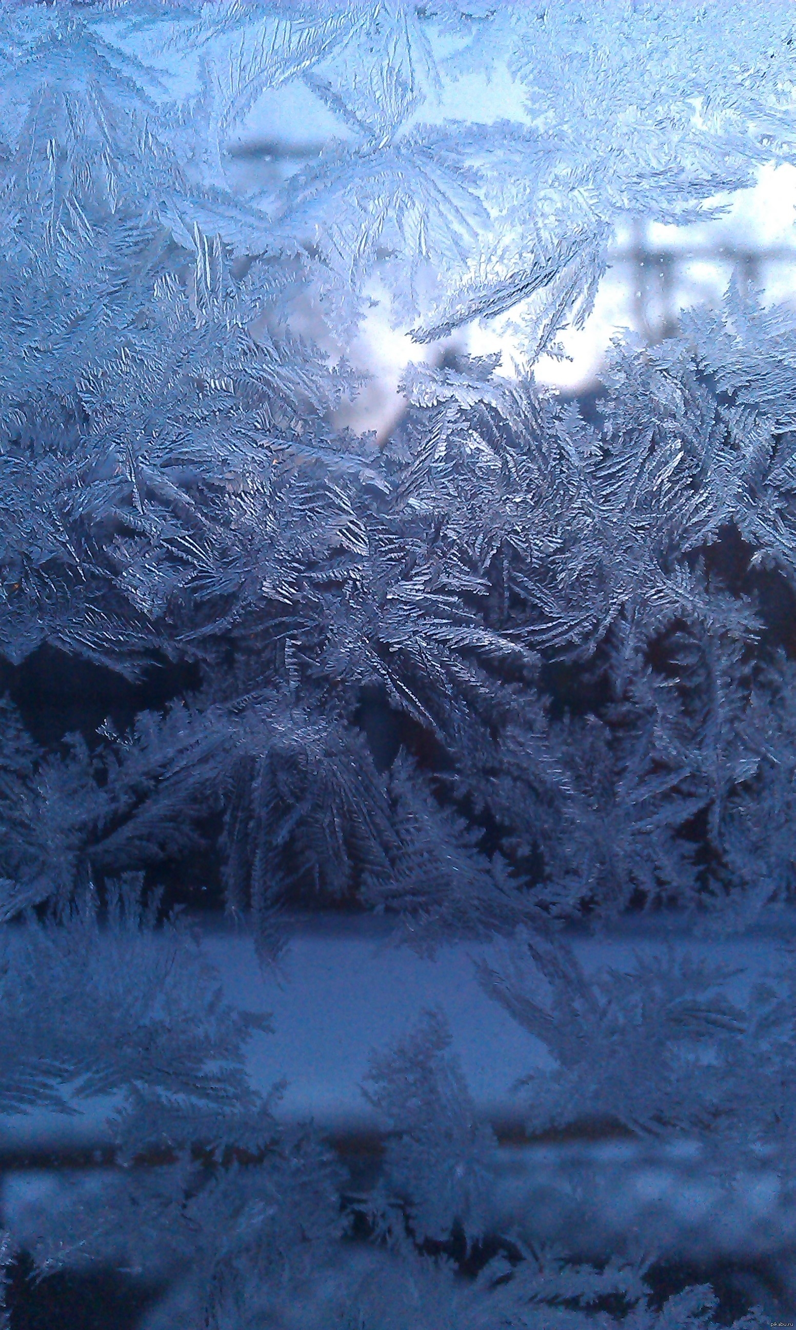 Мороз на окне