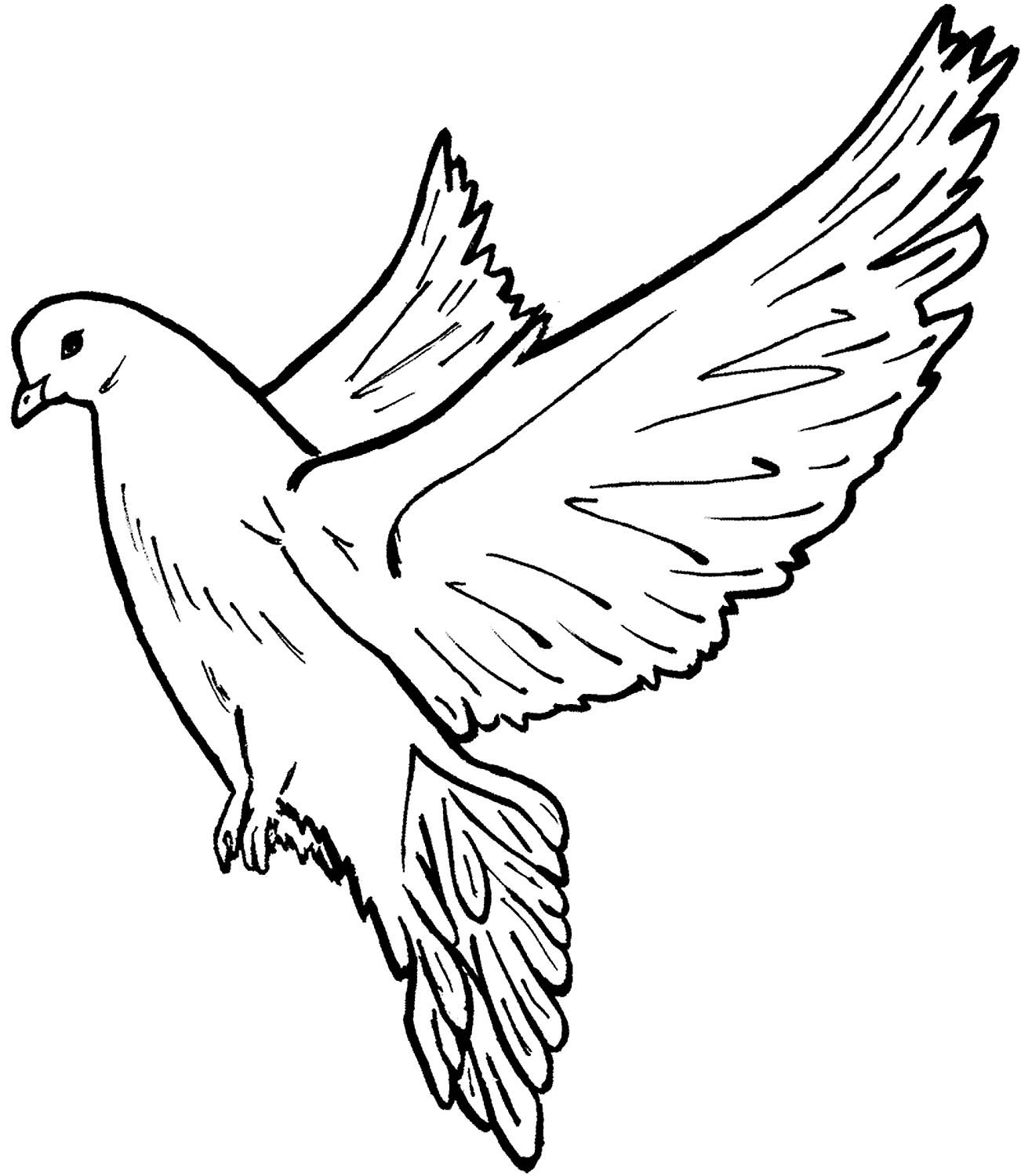 Раскраска Почтовый голубь, скачать и распечатать раскраску раздела Птицы