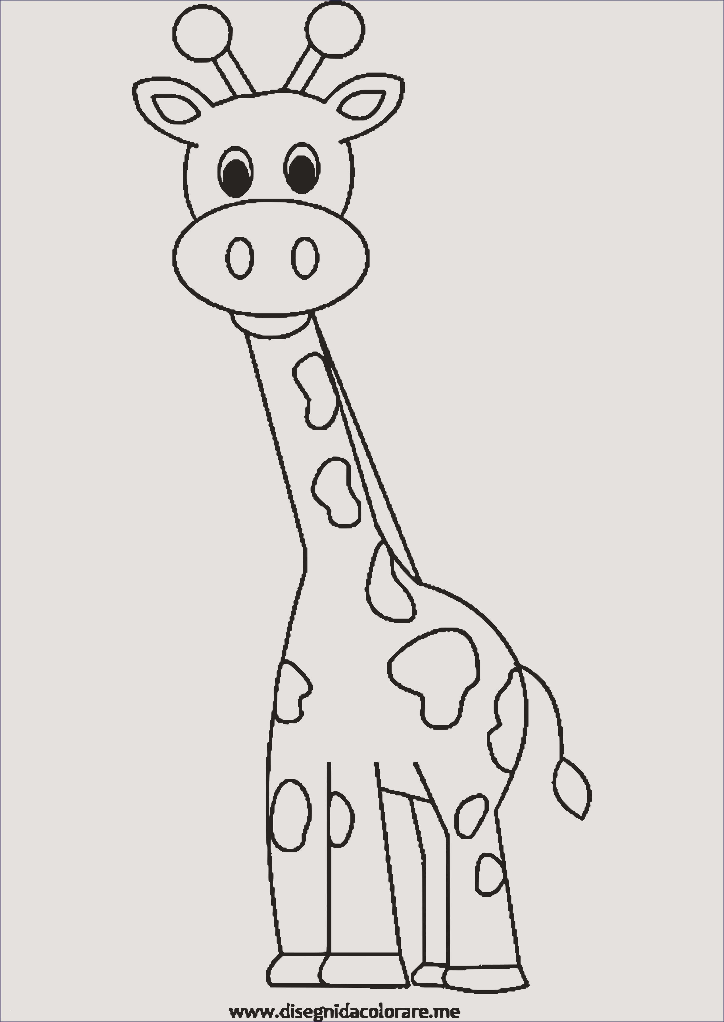 Раскраски «Жираф»