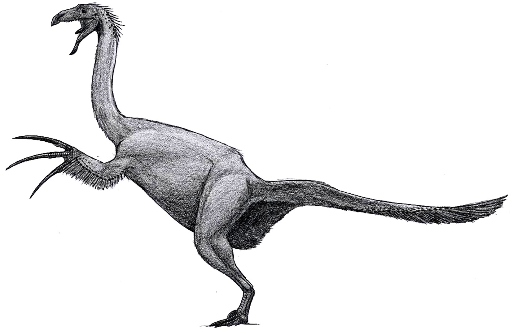 Теризинозавр и Раптор