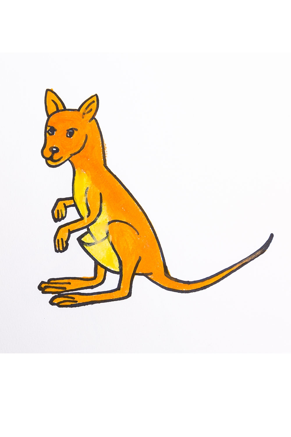 Нарисовать кенгуру карандашом