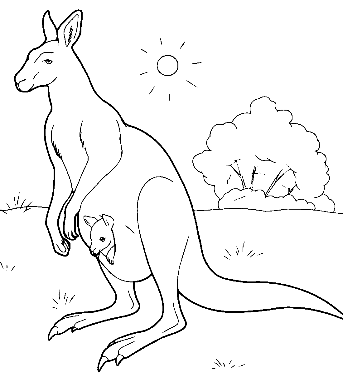 Животные Австралии раскраска кенгуру