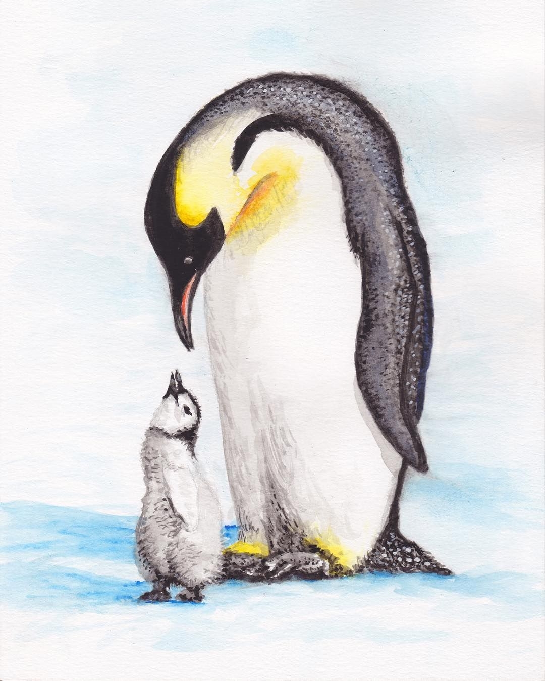 Пингвин зарисовка
