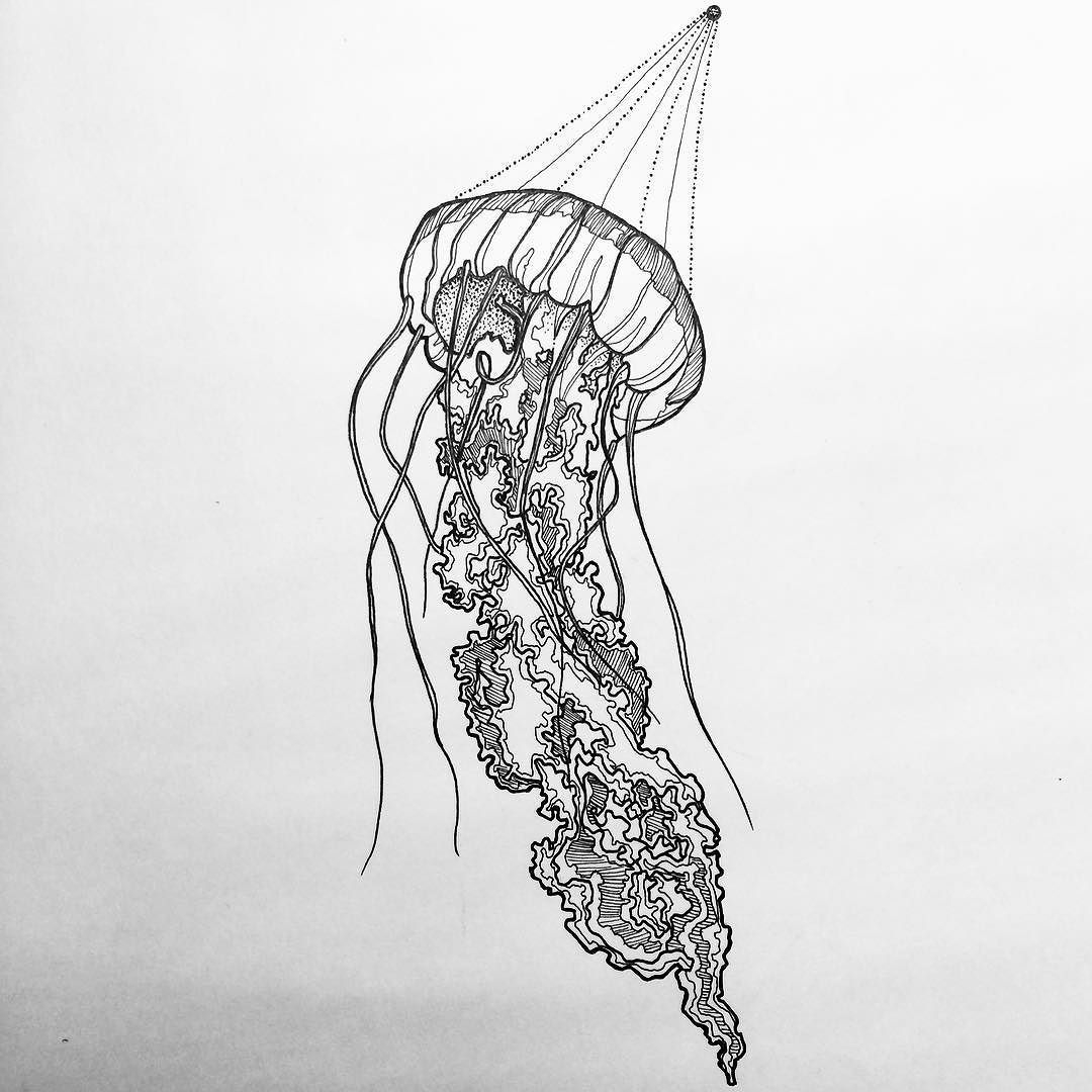 Медуза цветы эскиз