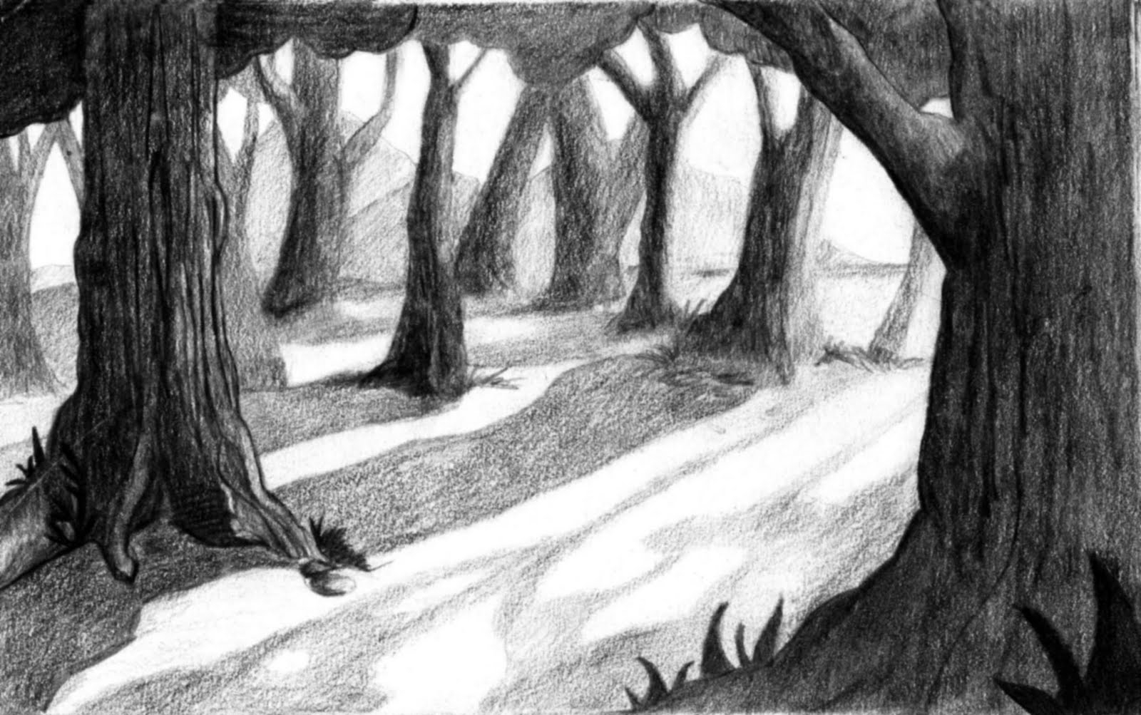 Нарисовать заколдованный лес карандашом
