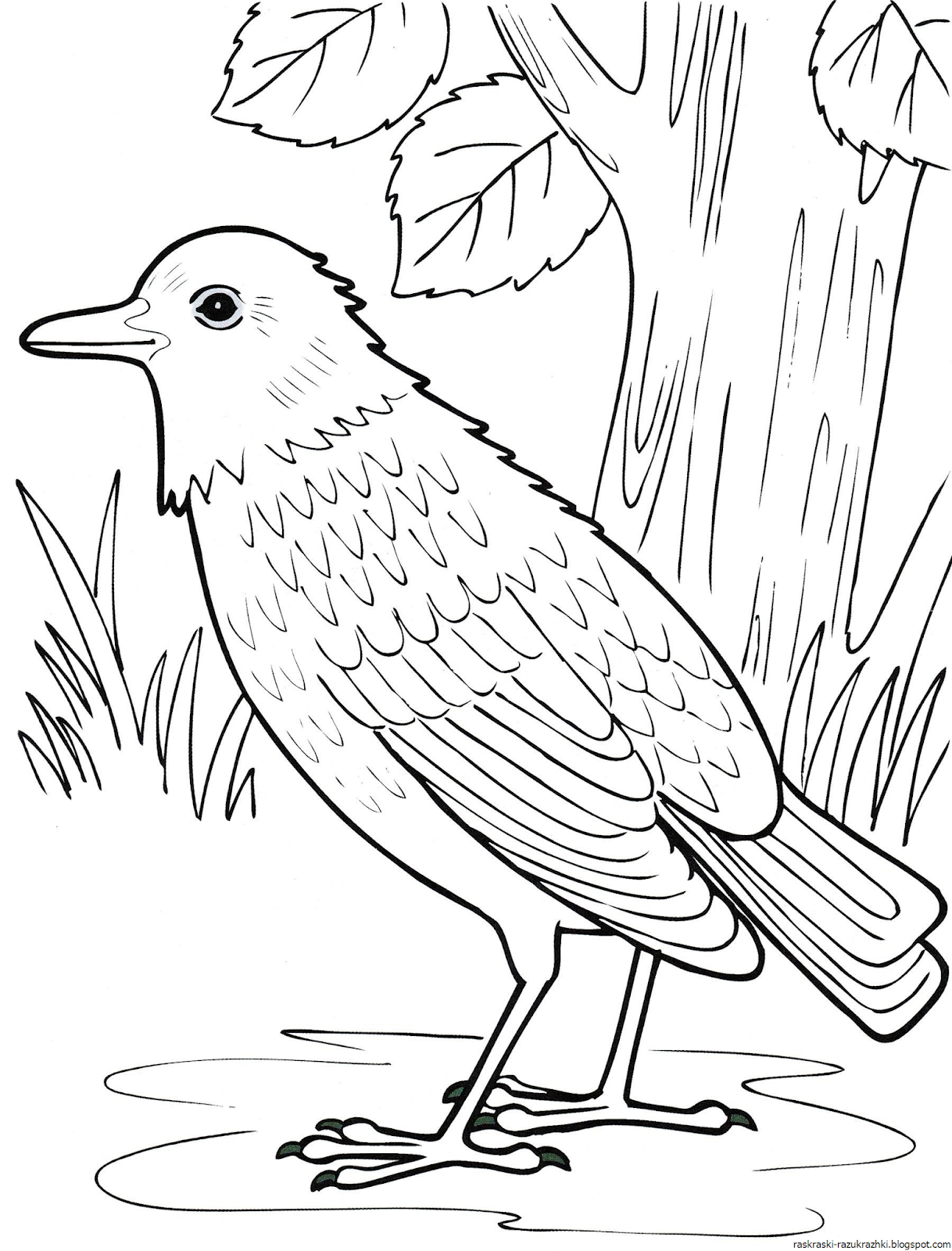Рисунок на тему перелетные птицы (49 фото) » рисунки для срисовки на l2luna.ru