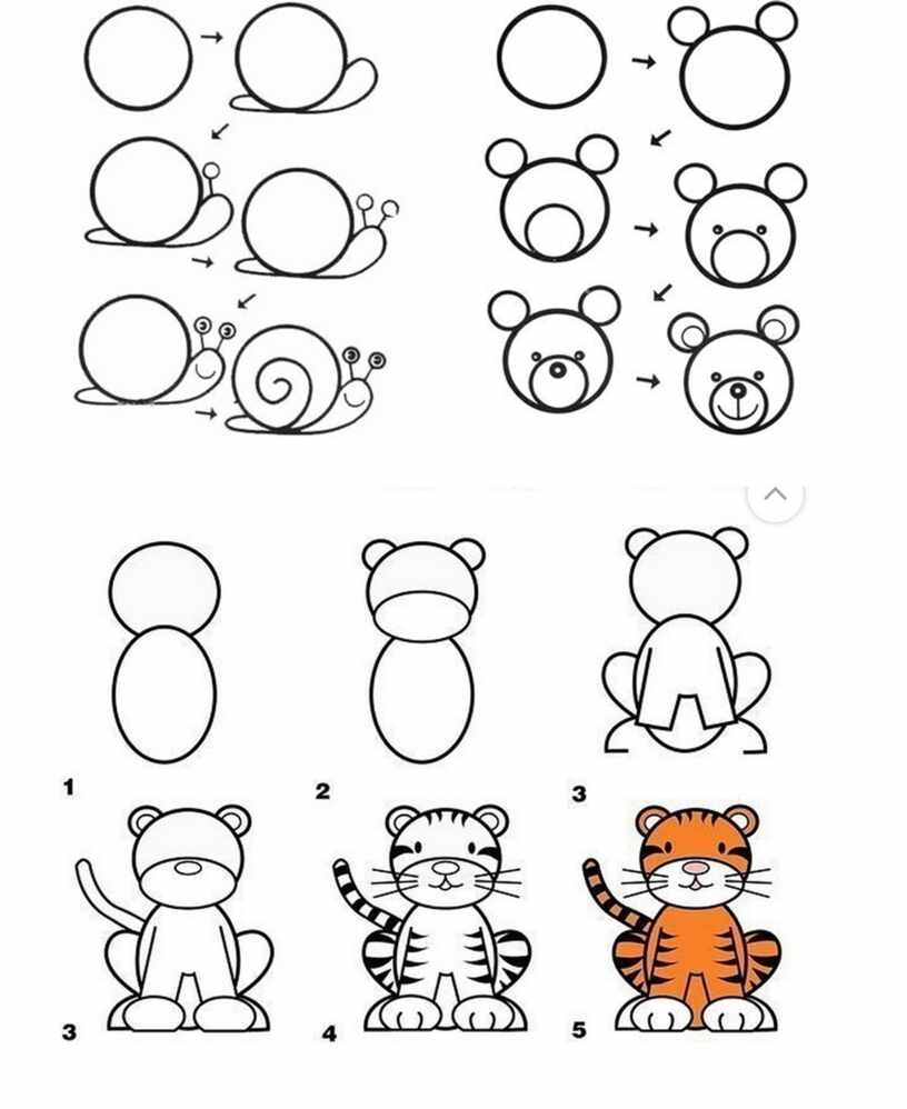 Поэтапное рисование тигра для дошкольников