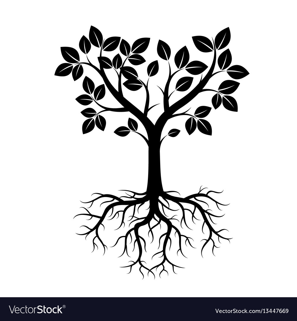 Дерево с корнями вектор