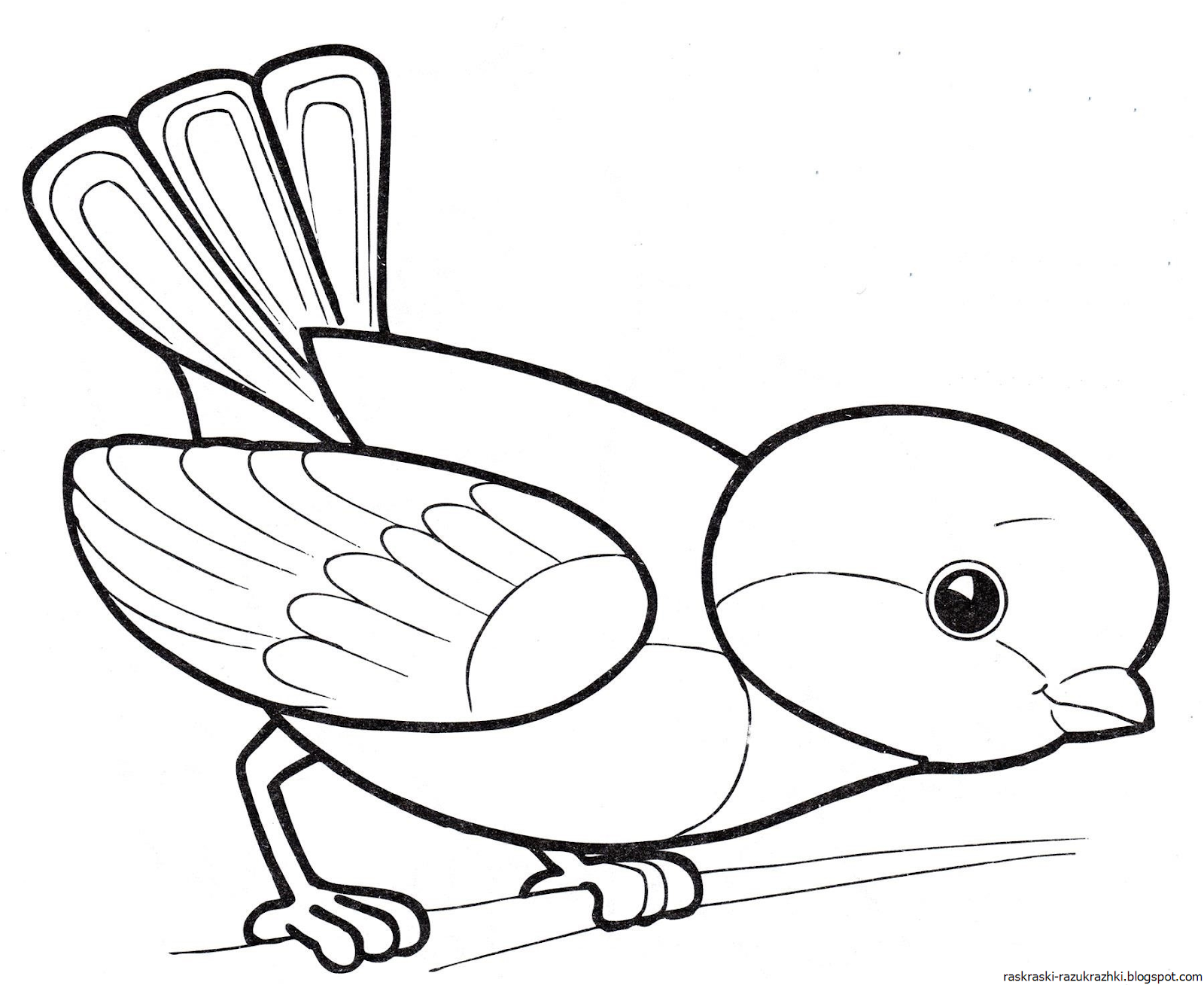 Раскраски для самых маленьких Первые птички Феникс-Премьер 26,2 х 20 см