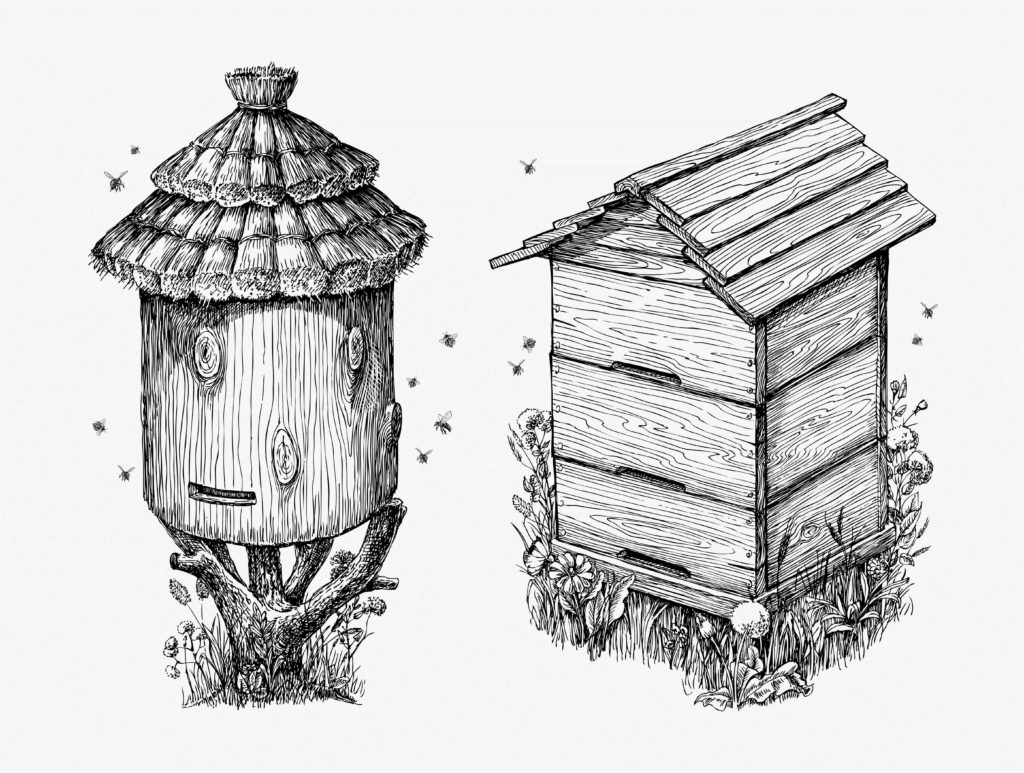 Раскраска ульи с пчелами