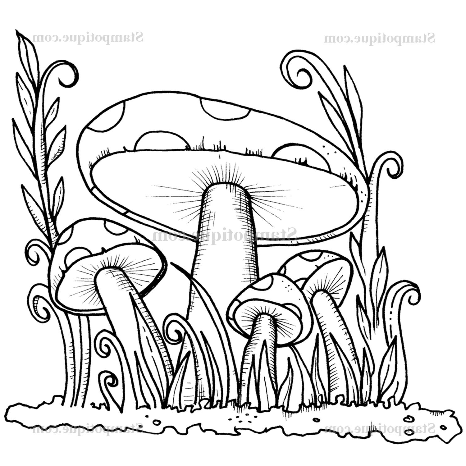 Царство грибов раскраска