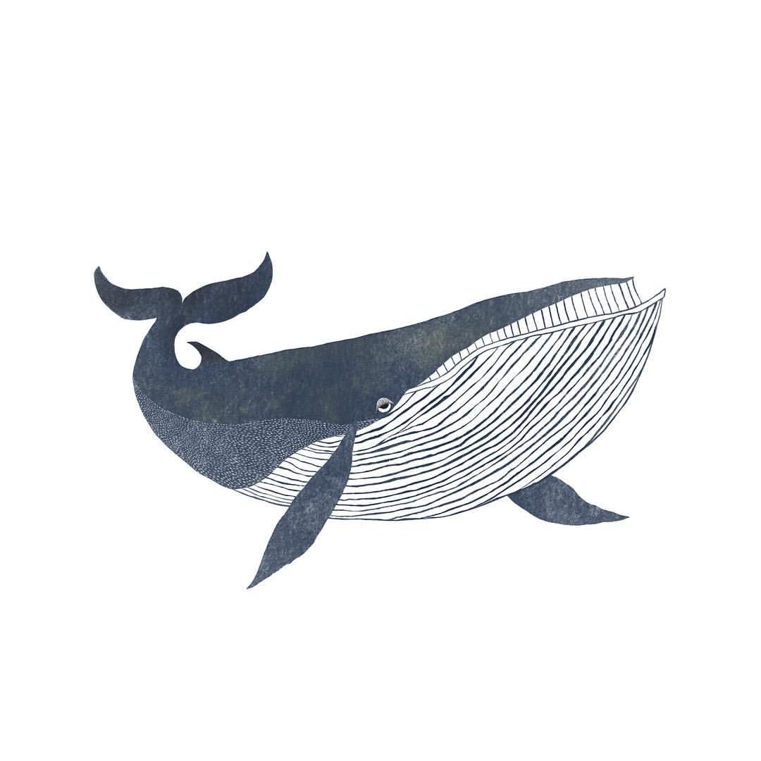 Белый кит