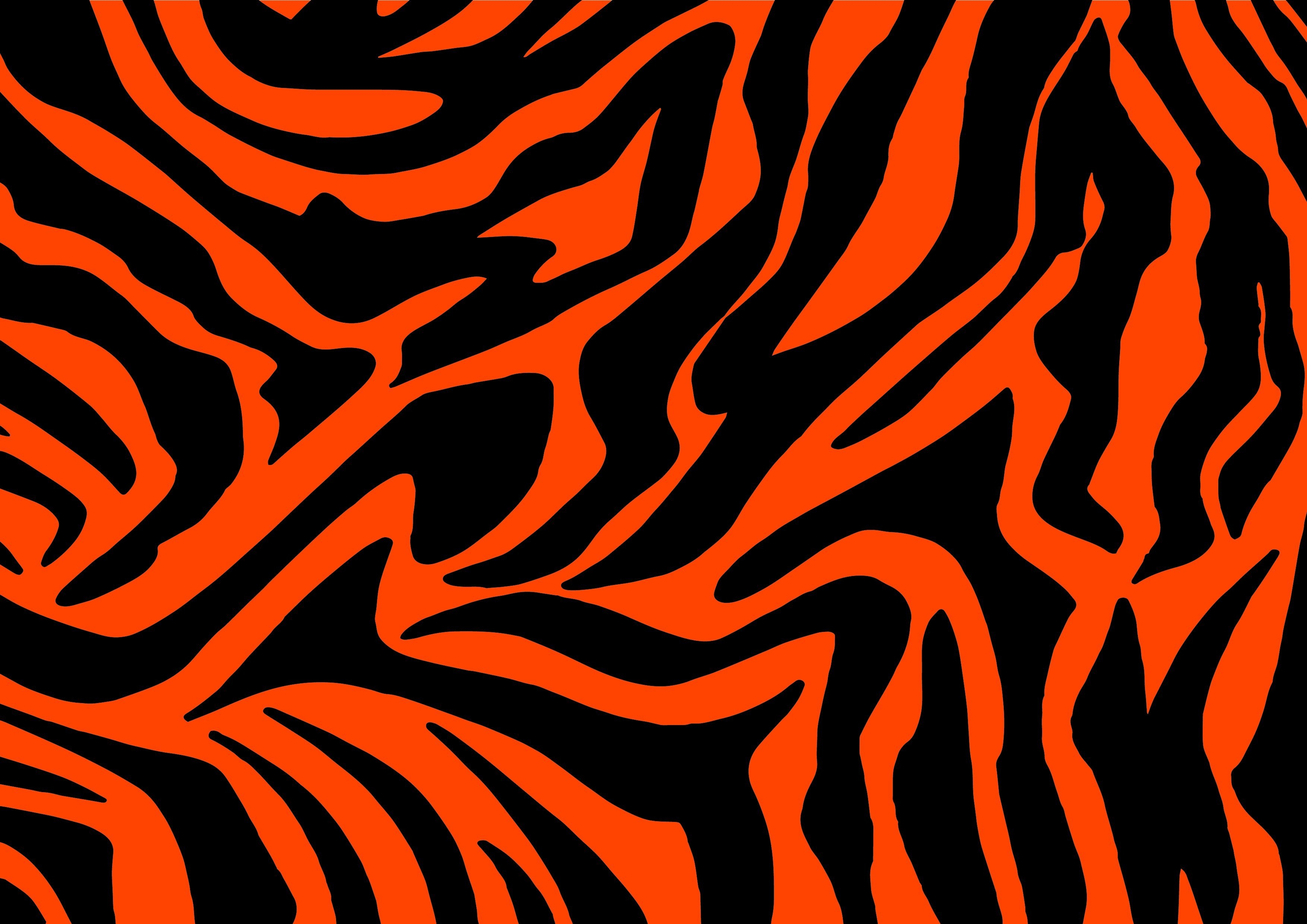 Полоски тигра