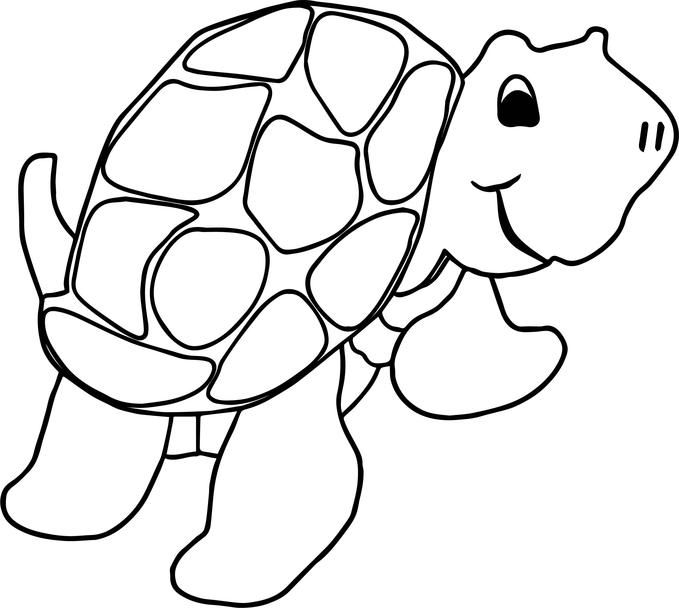 Раскраска для детей 3 лет черепаха