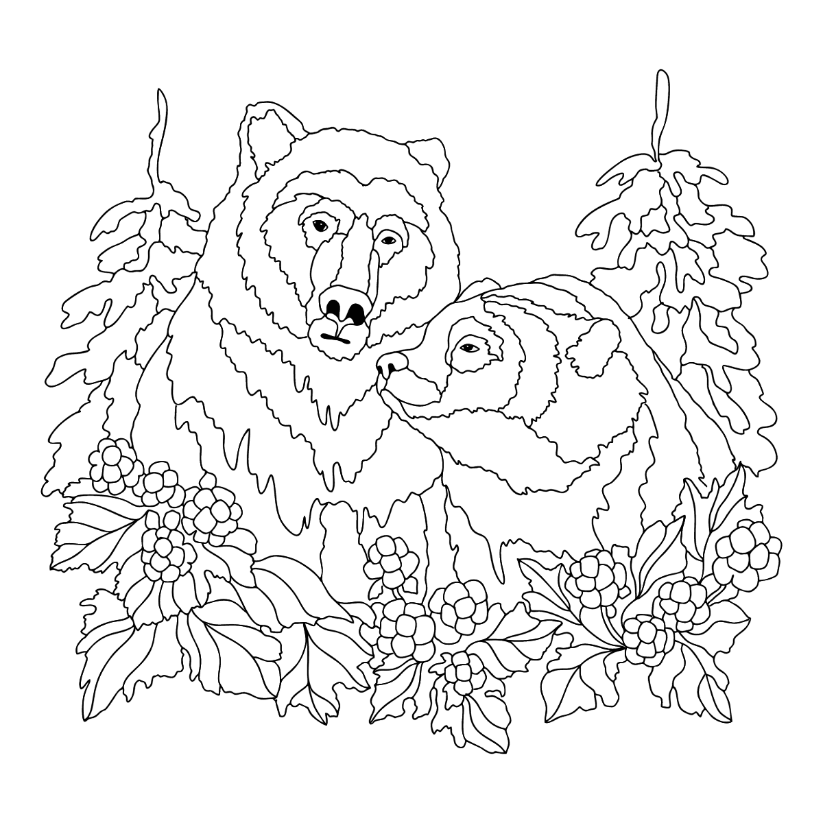 Медведь: раскраска