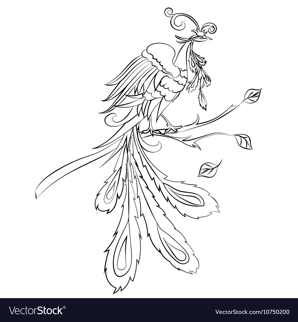 Стравинский Жар птица рисунок