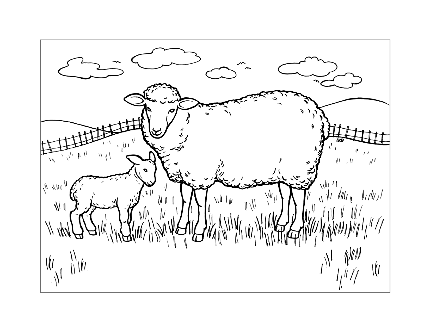 As gentle as a Lamb picture for Kids