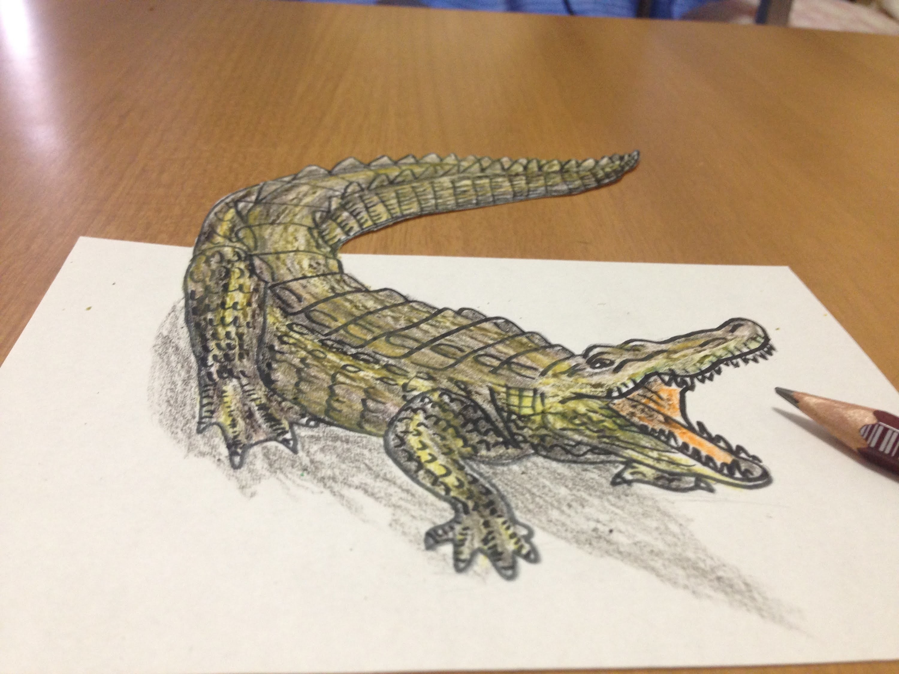 Что можно нарисовать в крокодиле